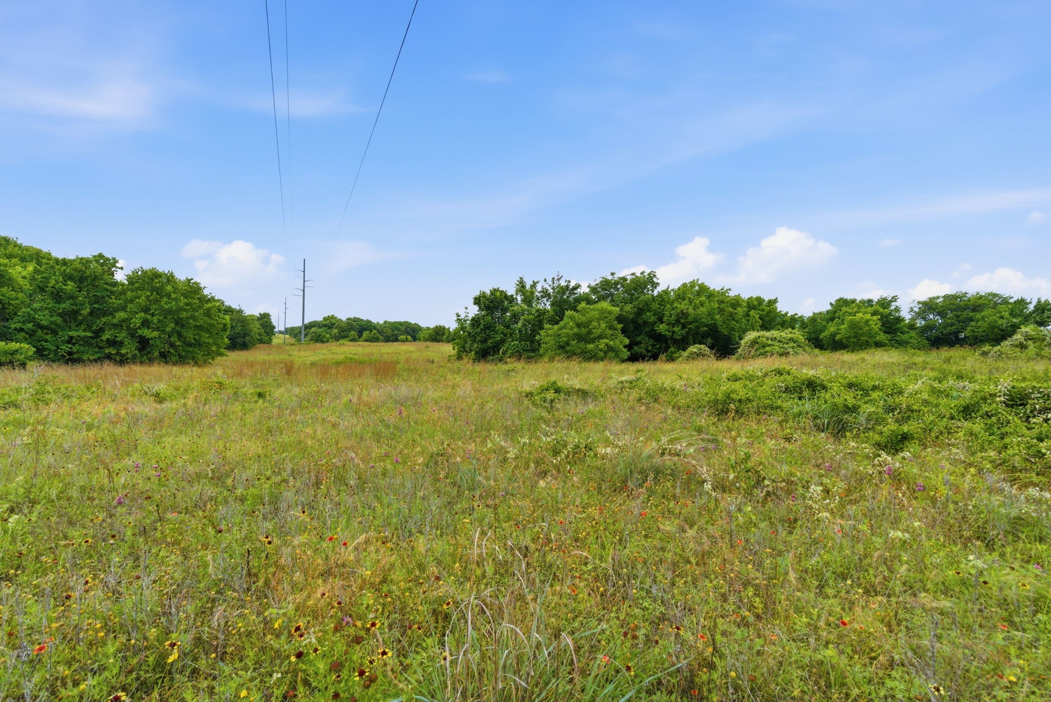 Tbd Lone Star Road Poolville TX 76487