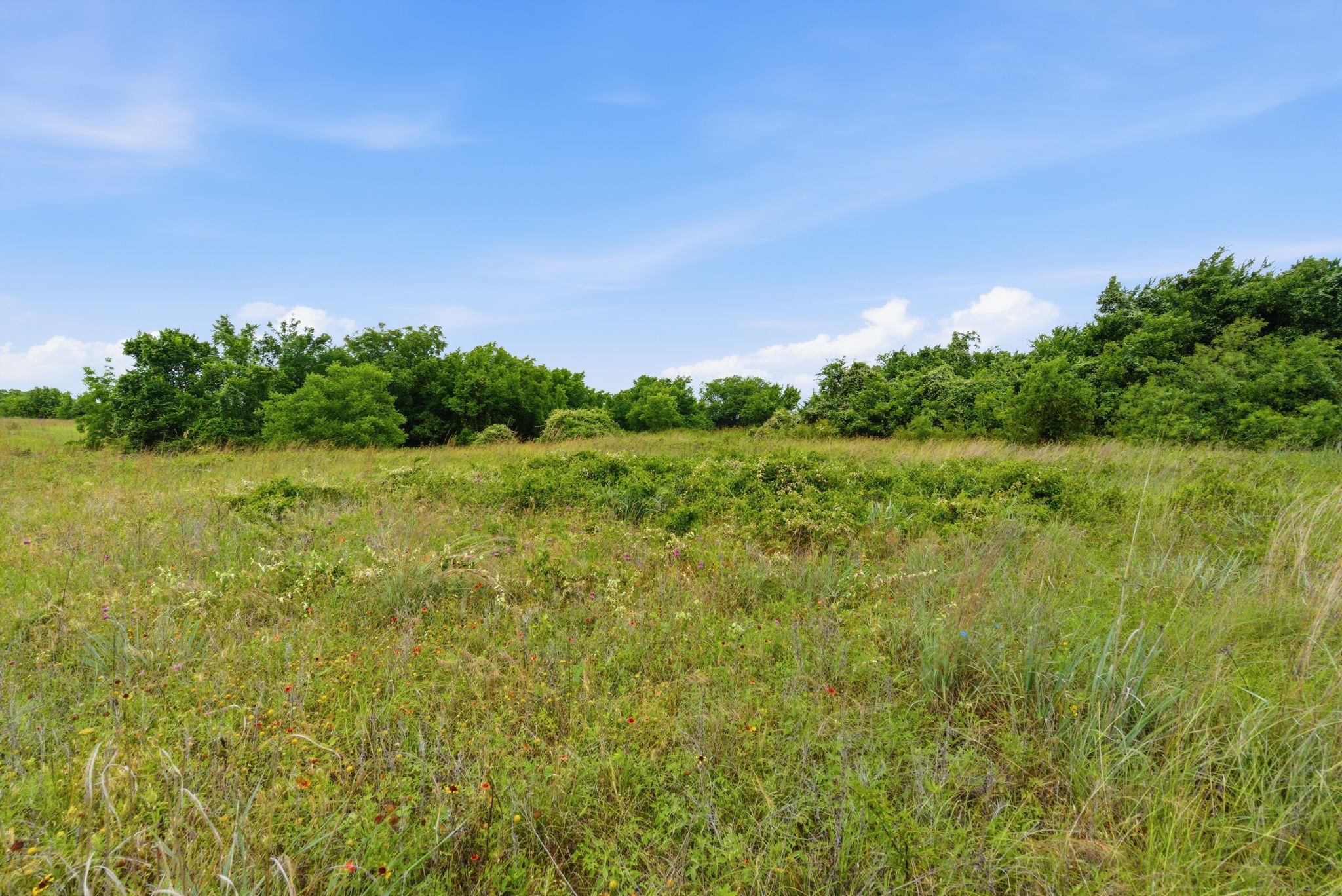 Tbd Lone Star Road Poolville TX 76487