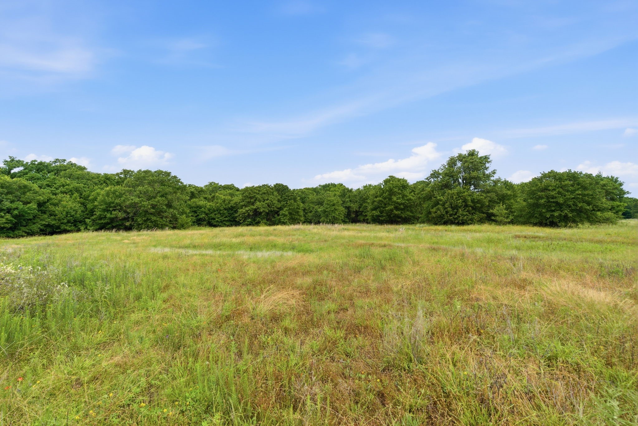 Tbd Lone Star Road Poolville TX 76487