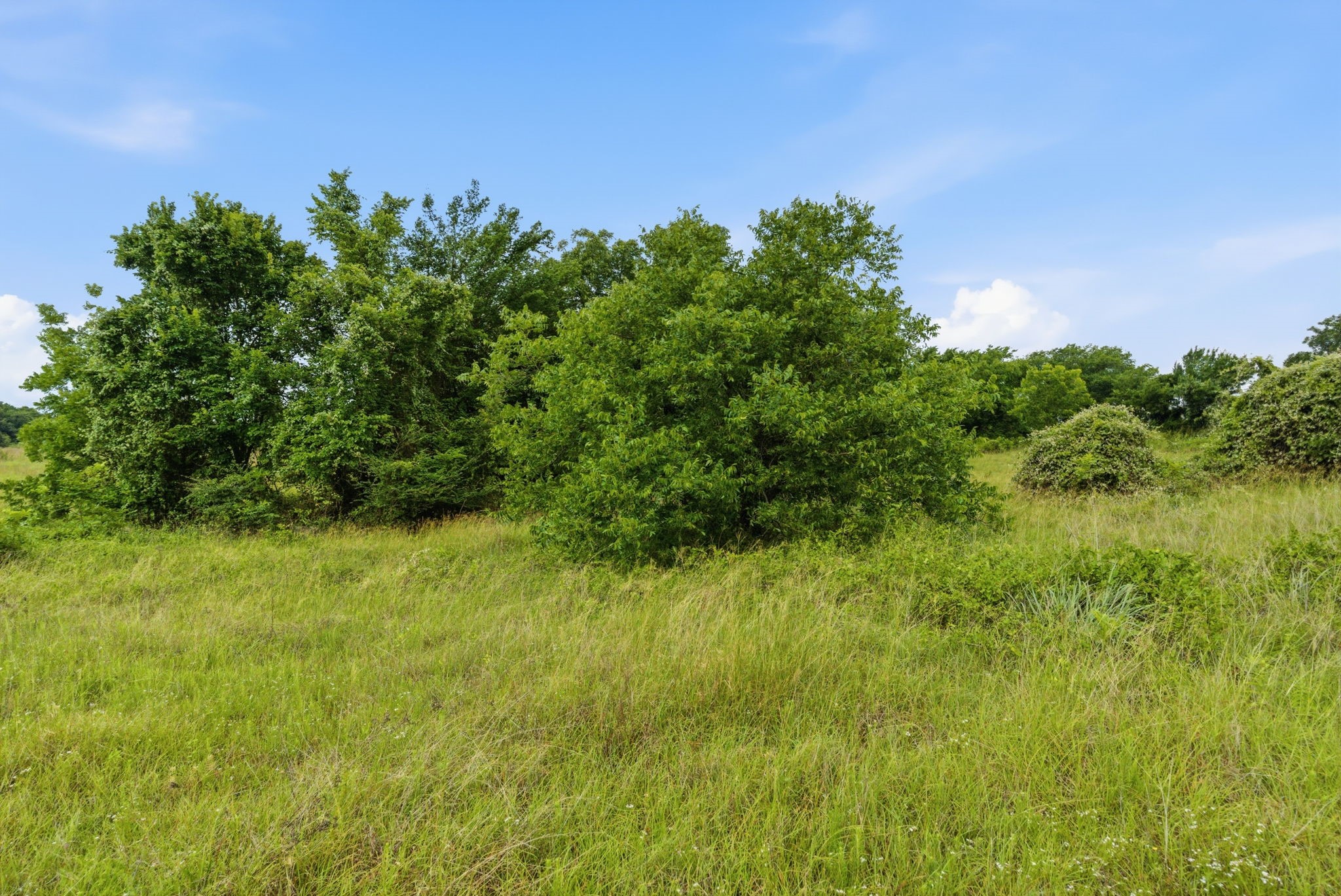 Tbd Lone Star Road Poolville TX 76487