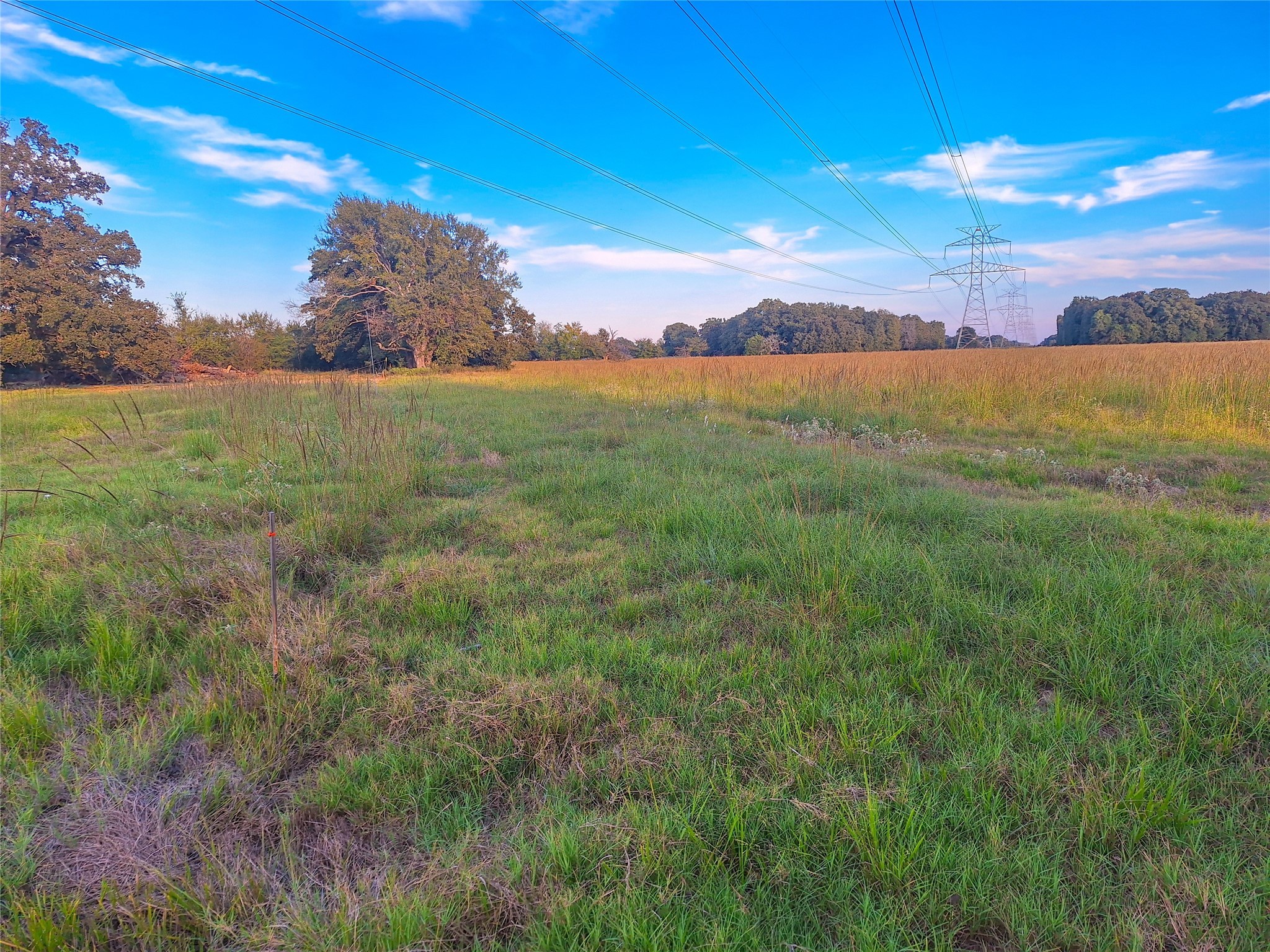 Tbd County Road 2147 Kemp TX 75143