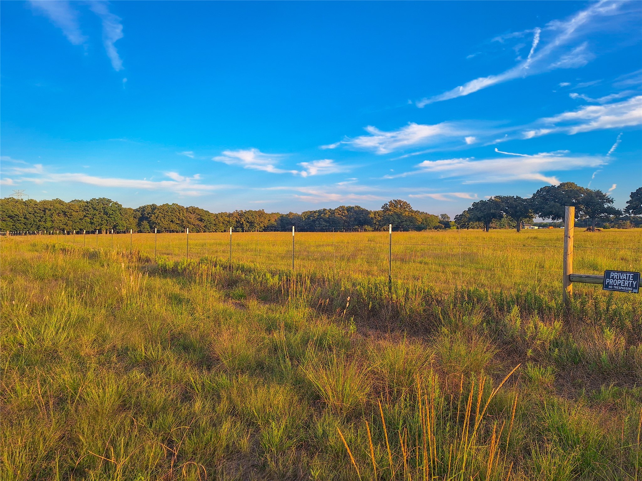 Tbd County Road 2147 Kemp TX 75143