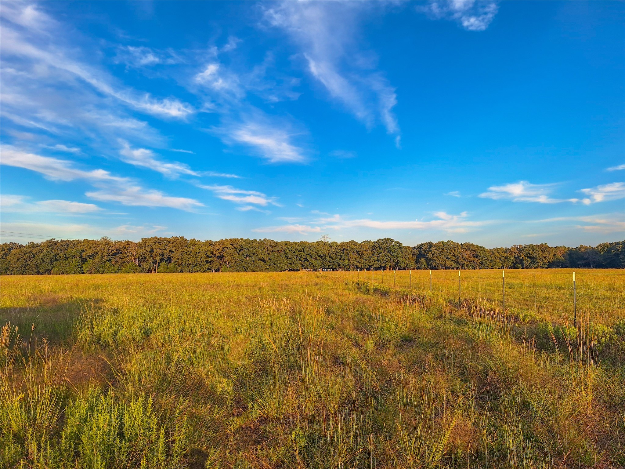 Tbd County Road 2147 Kemp TX 75143