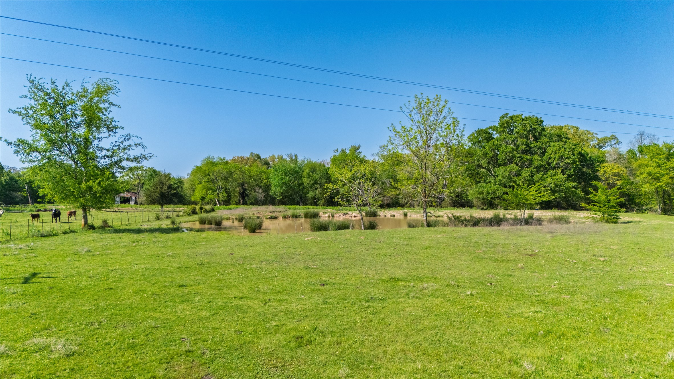 72 Ac N Farm Road 900 N Saltillo TX 75478