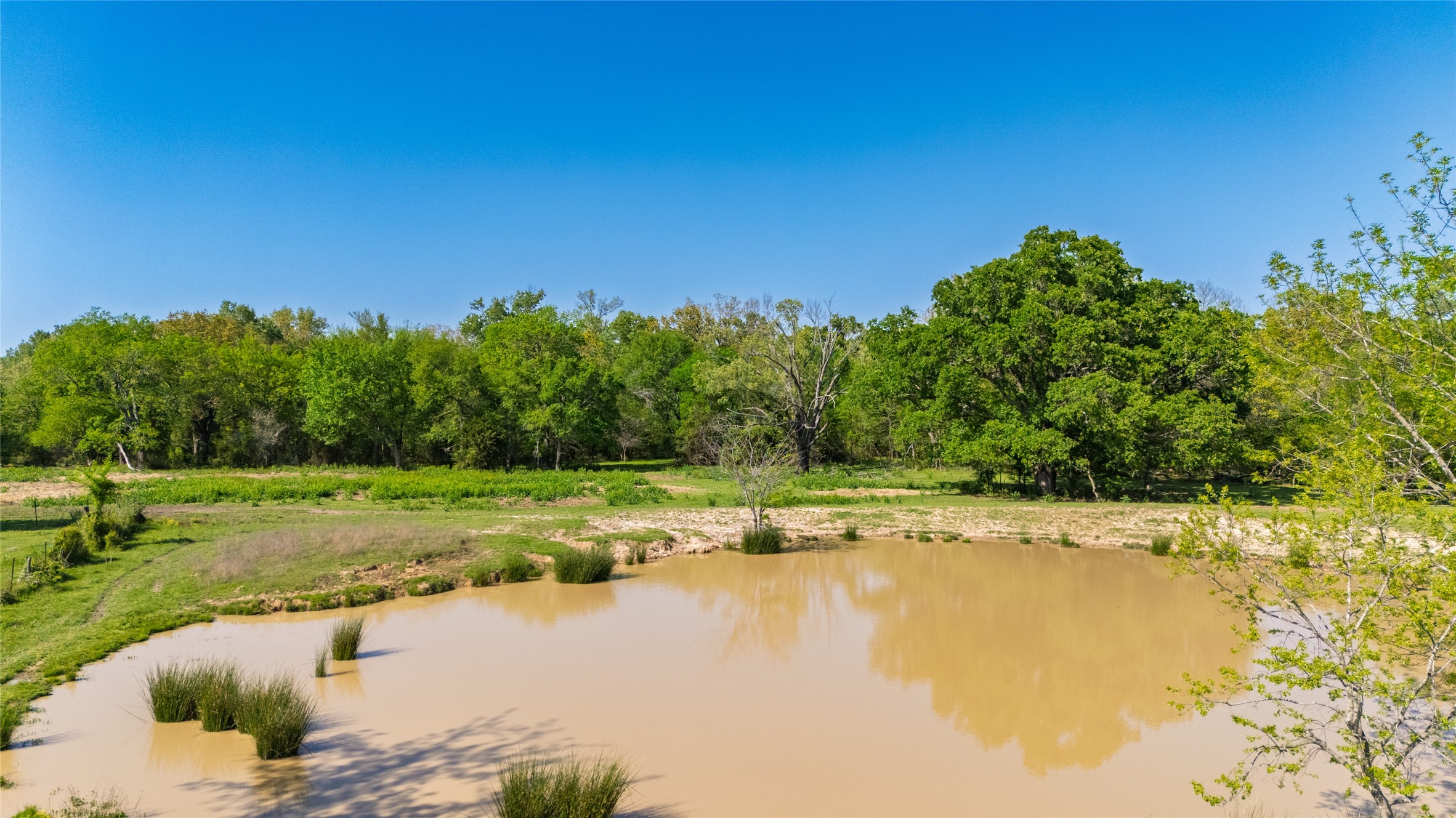 72 Ac N Farm Road 900 N Saltillo TX 75478