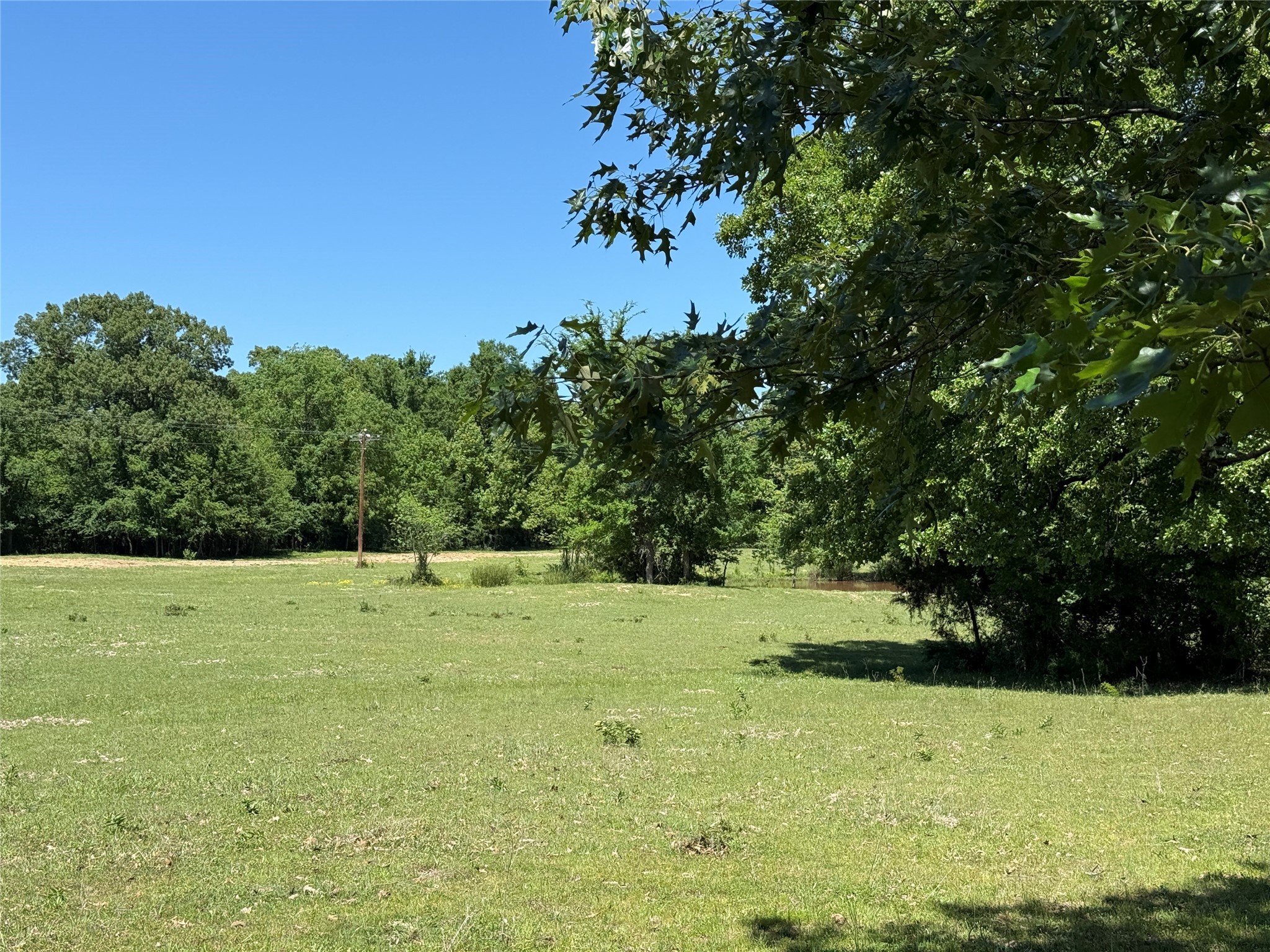 72 Ac N Farm Road 900 N Saltillo TX 75478