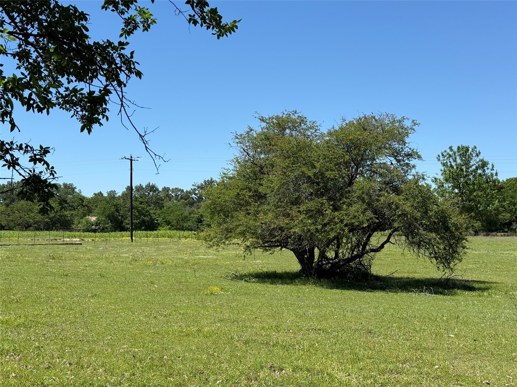 72 Ac N Farm Road 900 N Saltillo TX 75478