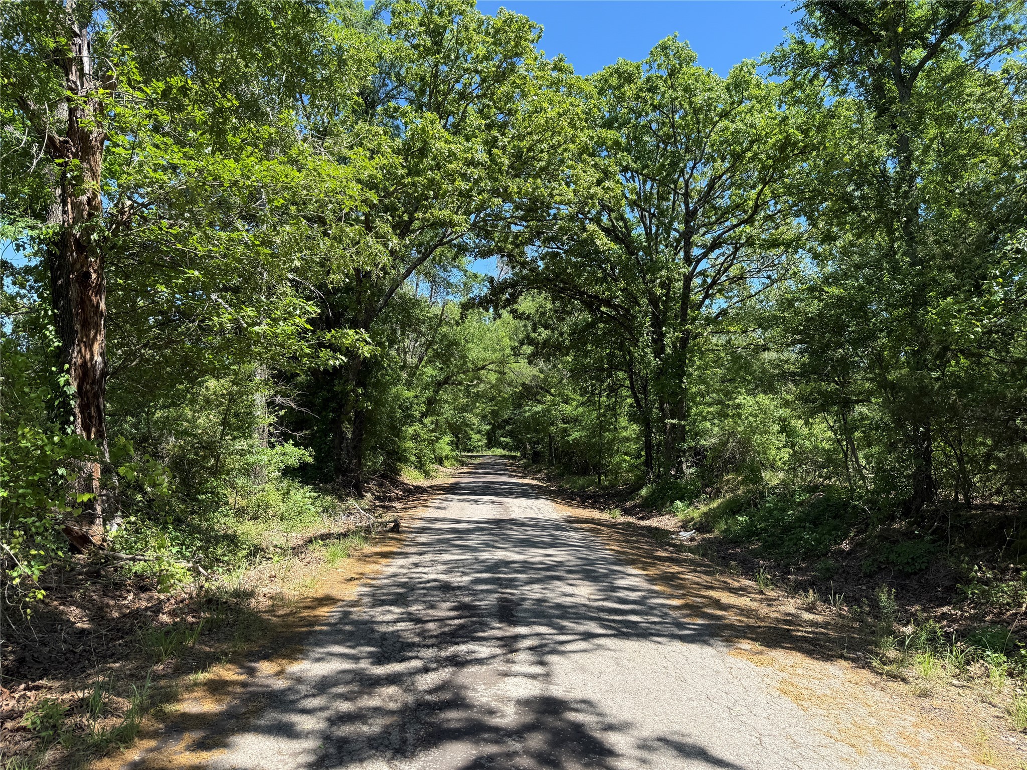 72 Ac N Farm Road 900 N Saltillo TX 75478