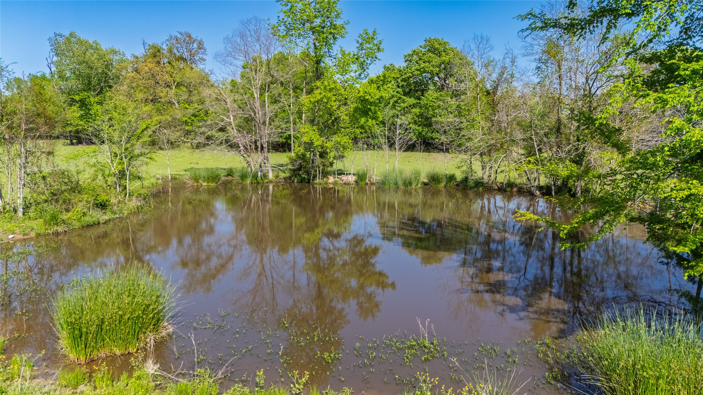 72 Ac N Farm Road 900 N Saltillo TX 75478