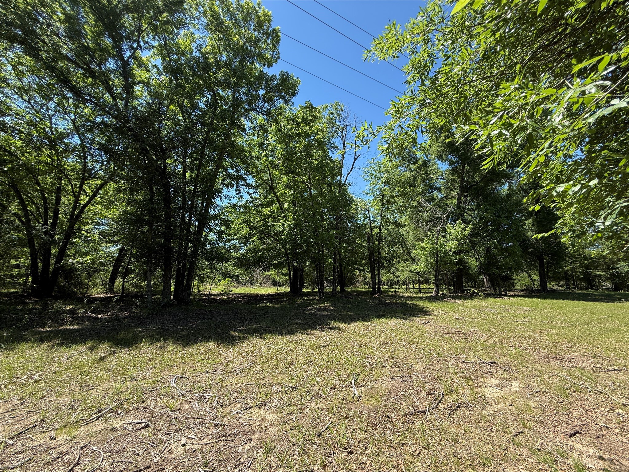 72 Ac N Farm Road 900 N Saltillo TX 75478