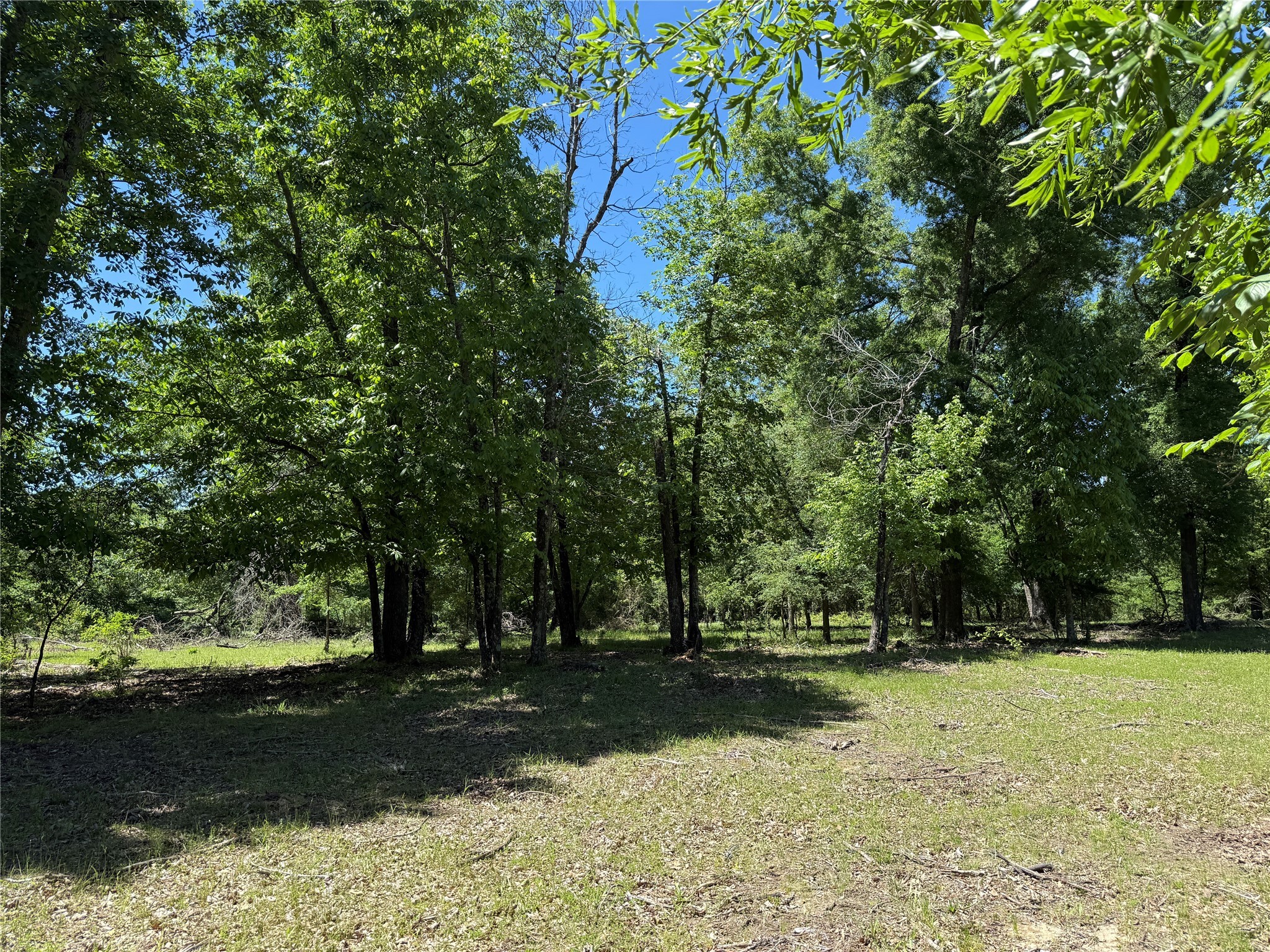 72 Ac N Farm Road 900 N Saltillo TX 75478