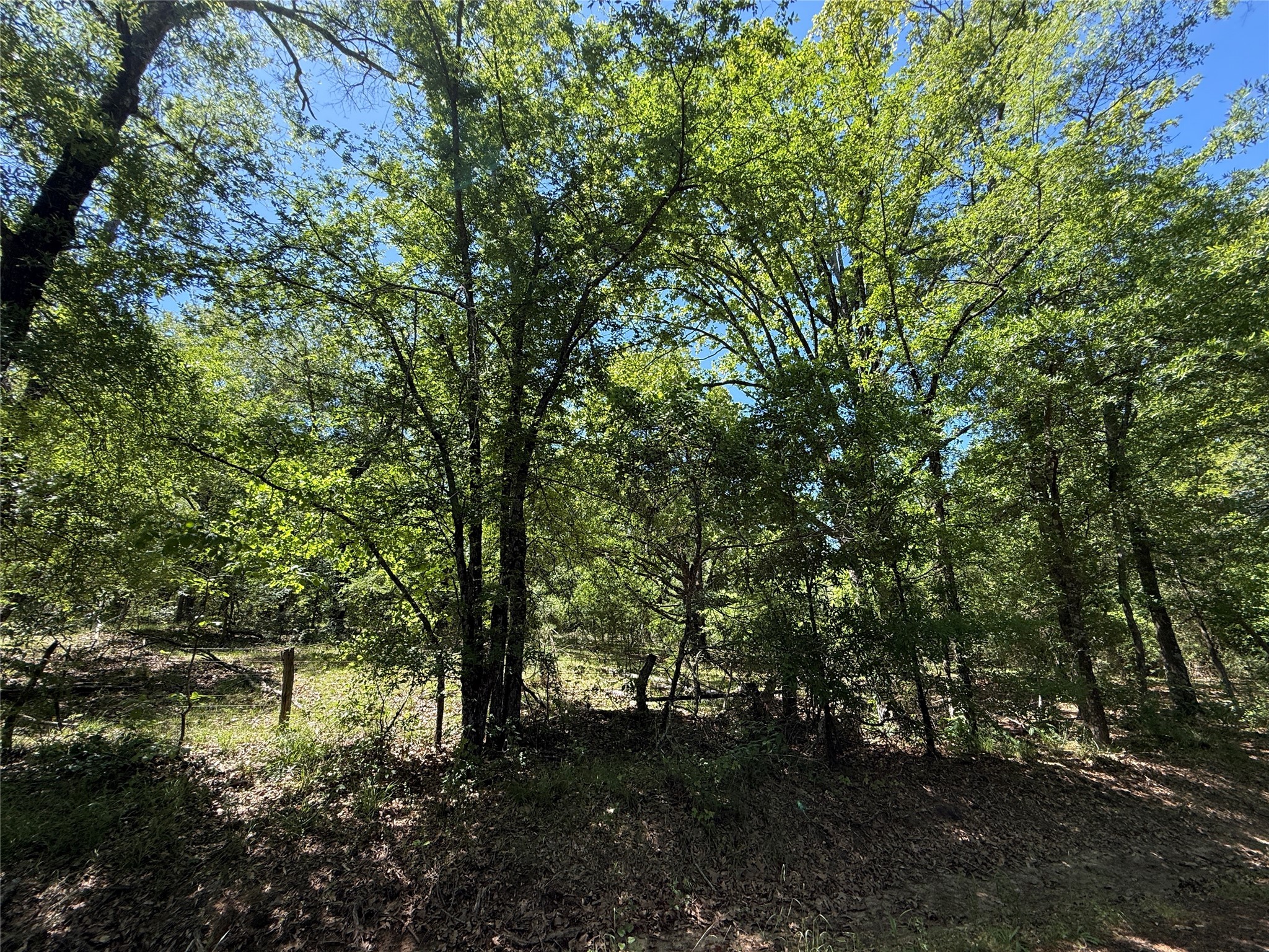 72 Ac N Farm Road 900 N Saltillo TX 75478