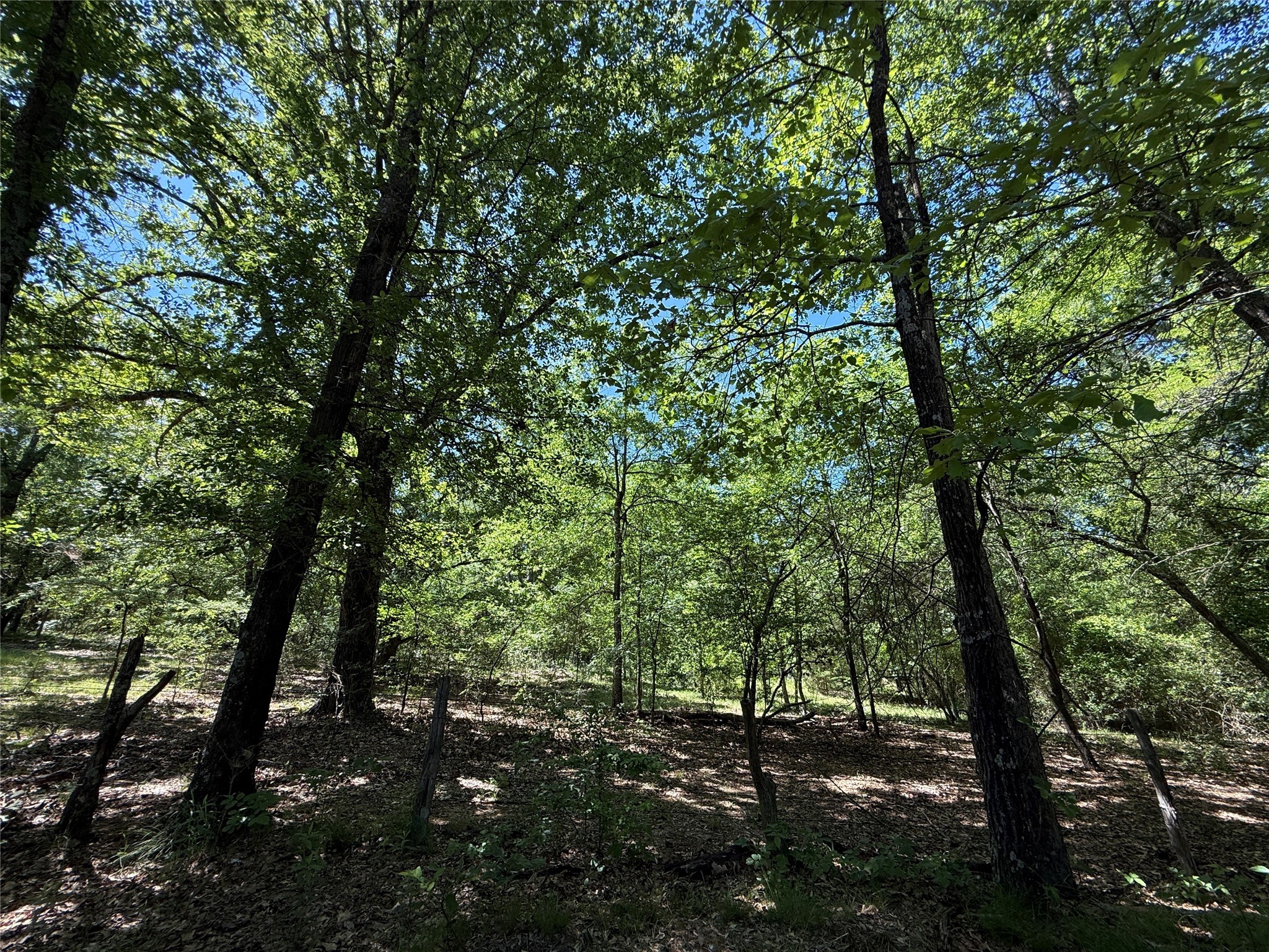 72 Ac N Farm Road 900 N Saltillo TX 75478