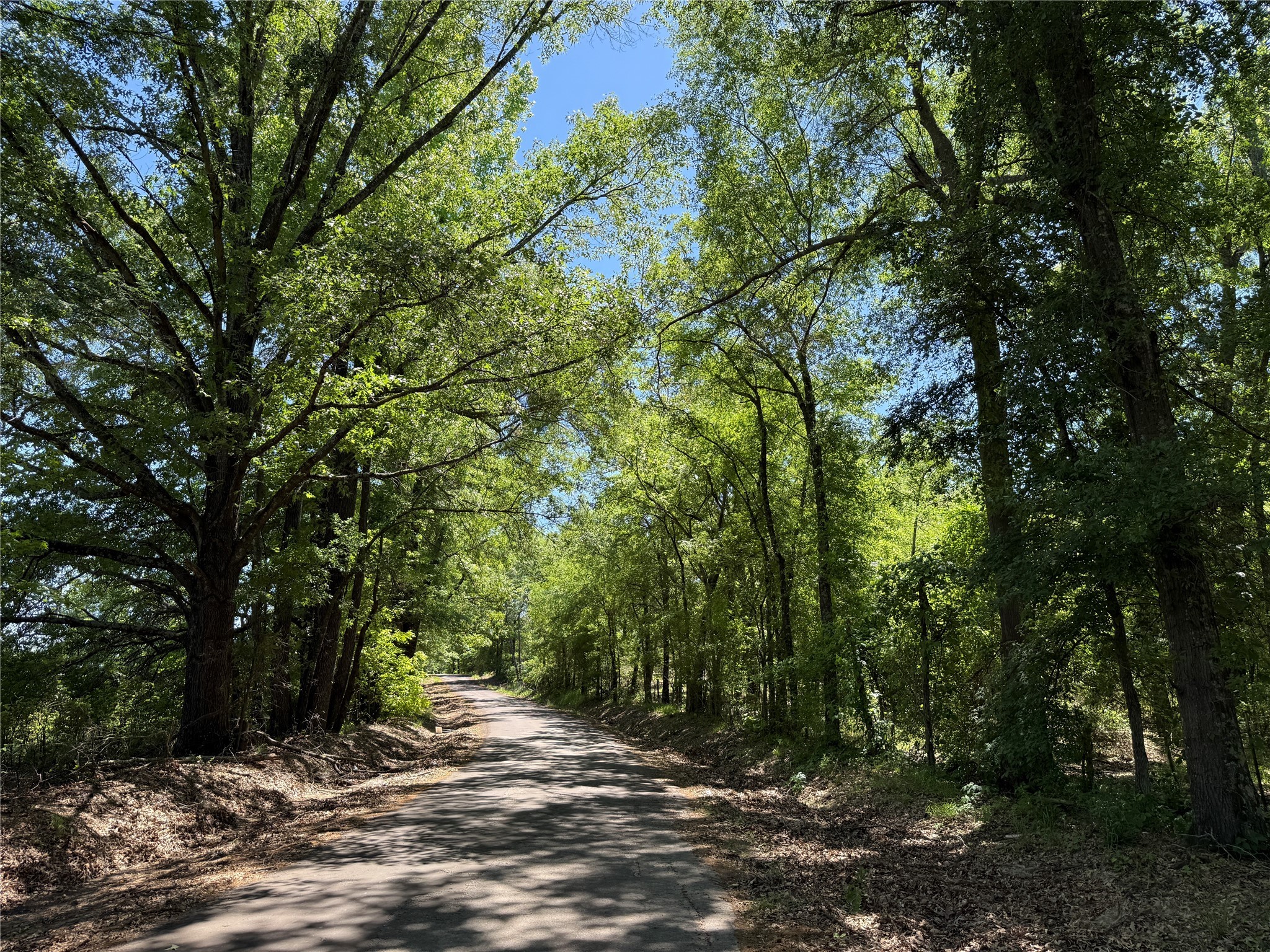 72 Ac N Farm Road 900 N Saltillo TX 75478