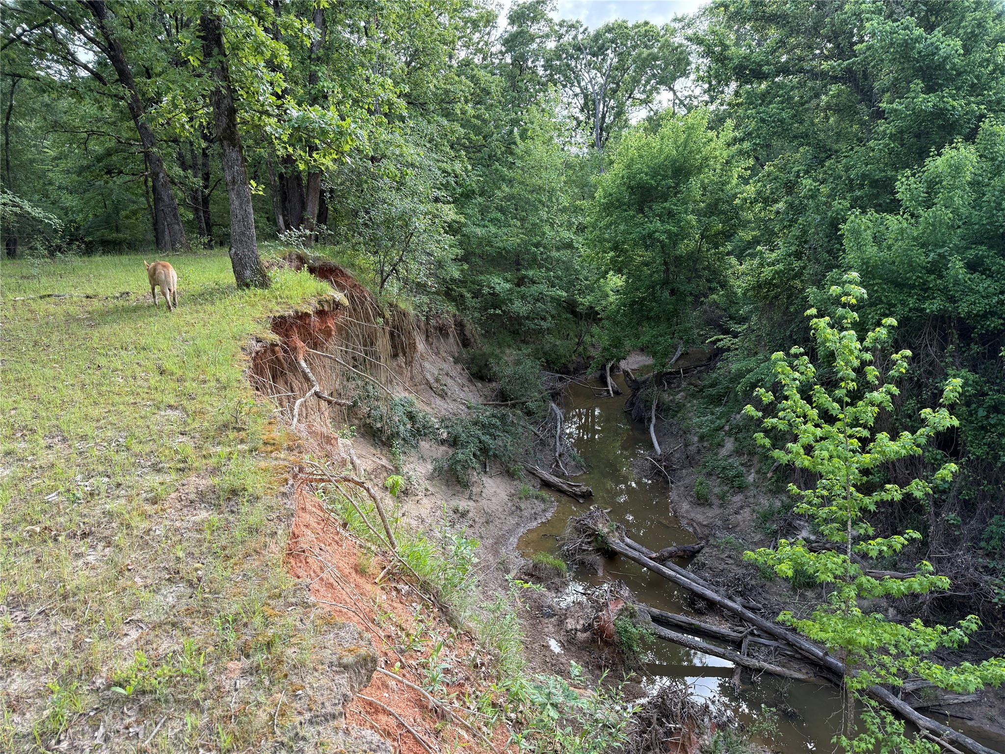 72 Ac N Farm Road 900 N Saltillo TX 75478