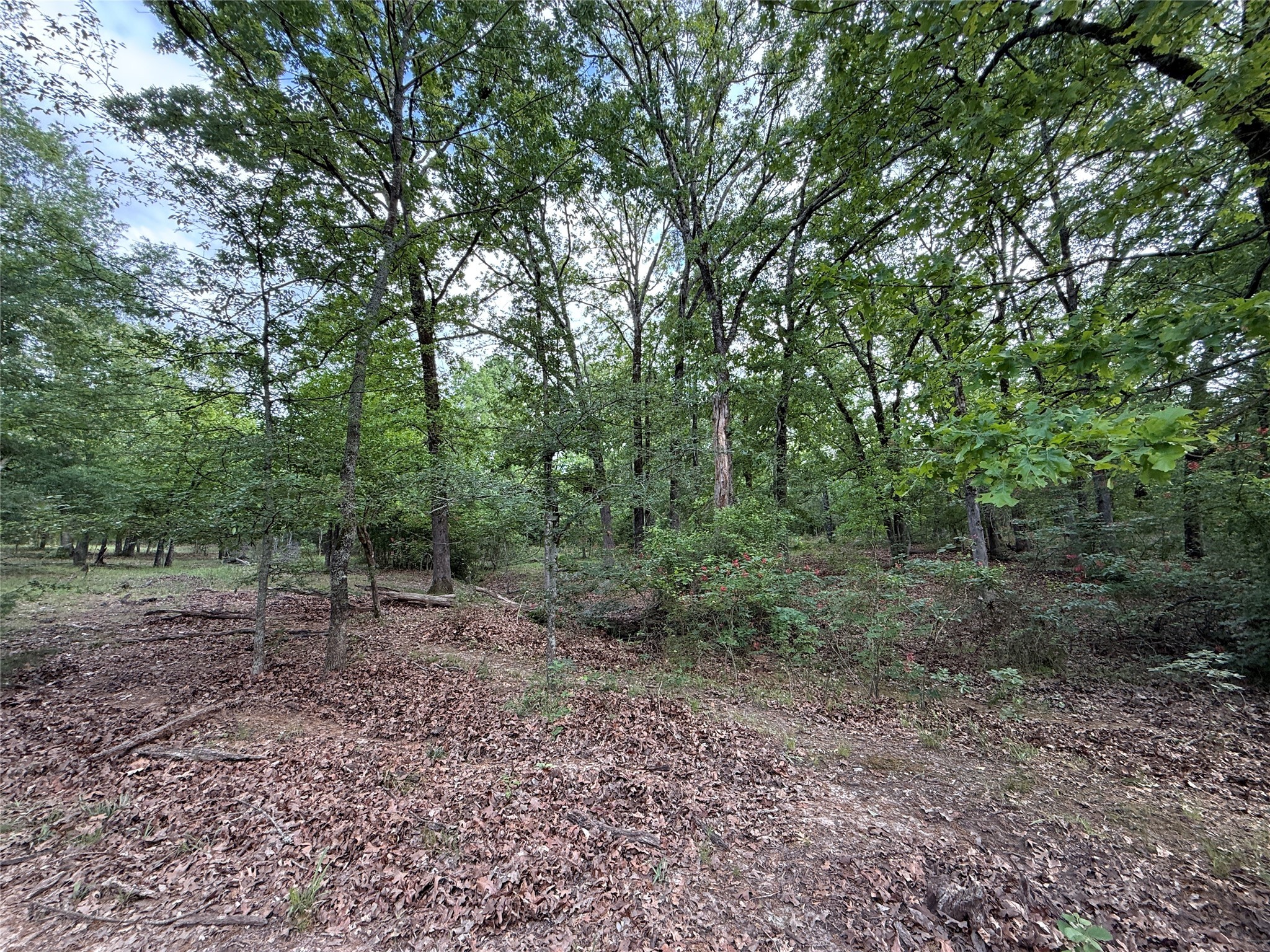 72 Ac N Farm Road 900 N Saltillo TX 75478