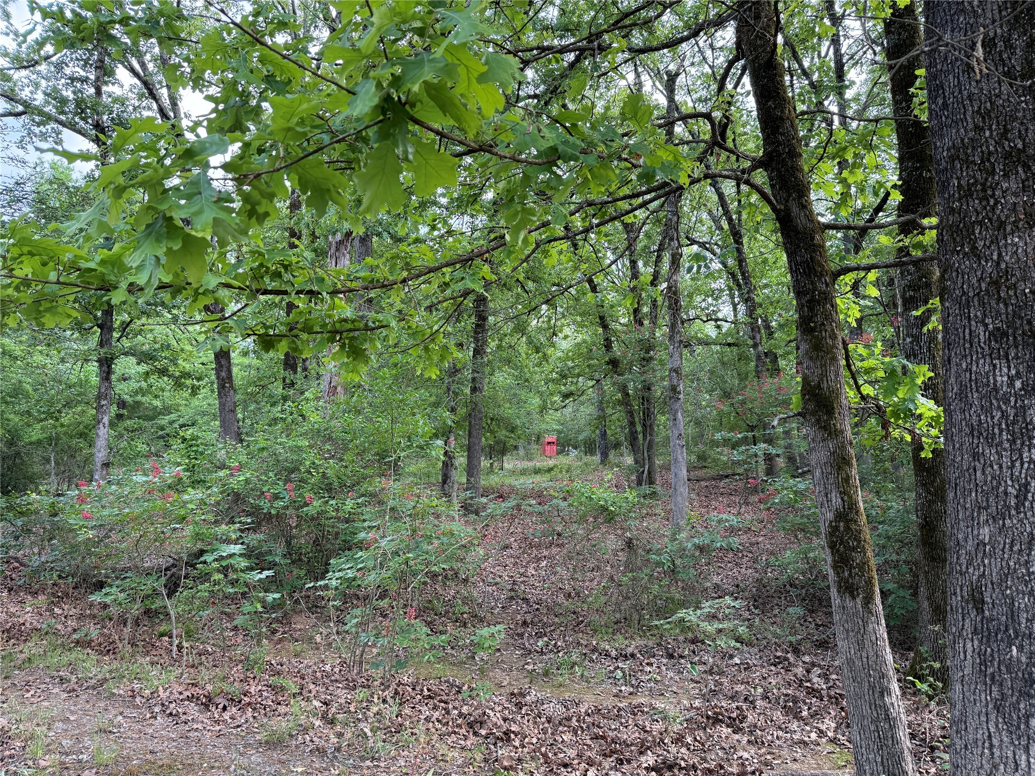 72 Ac N Farm Road 900 N Saltillo TX 75478