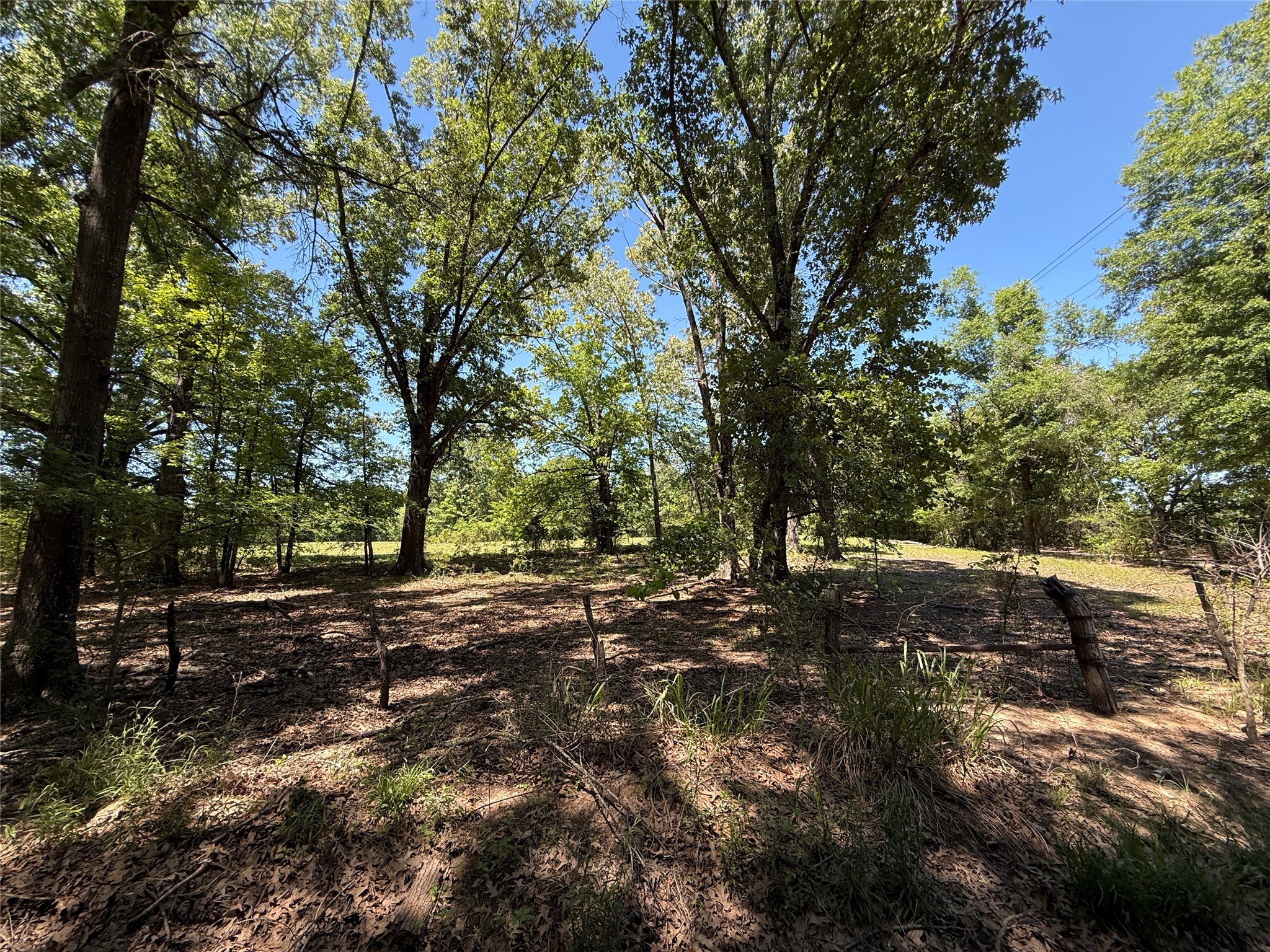 72 Ac N Farm Road 900 N Saltillo TX 75478