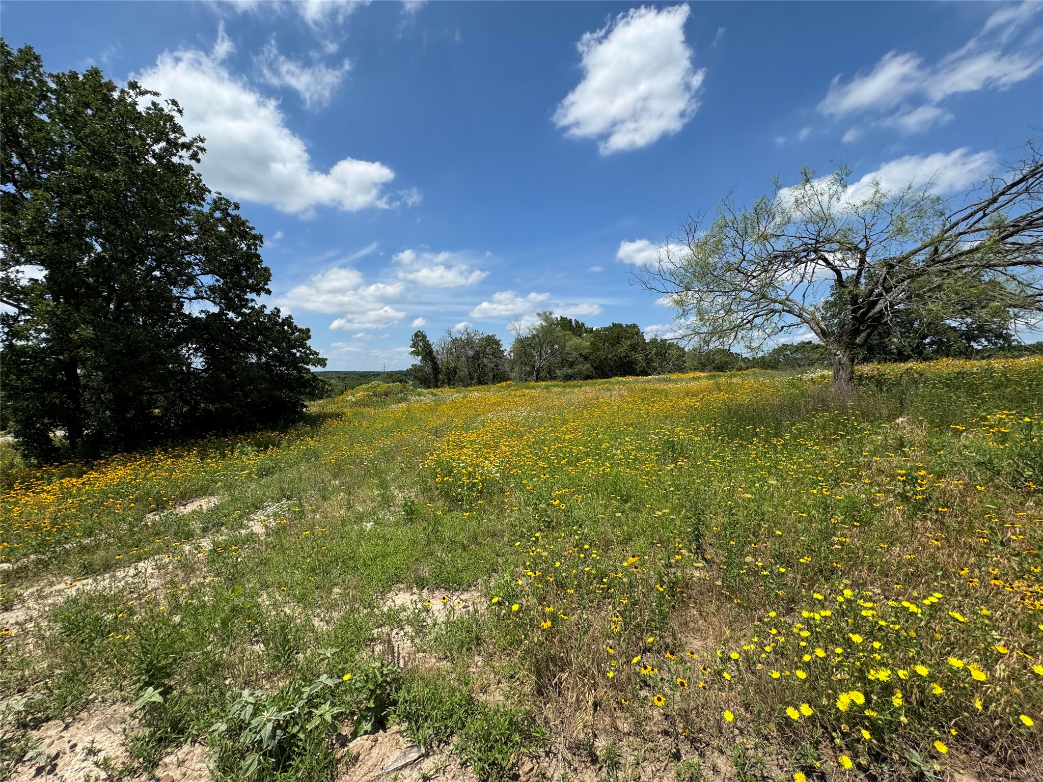 1059 Glenoaks Drive Weatherford TX 76088
