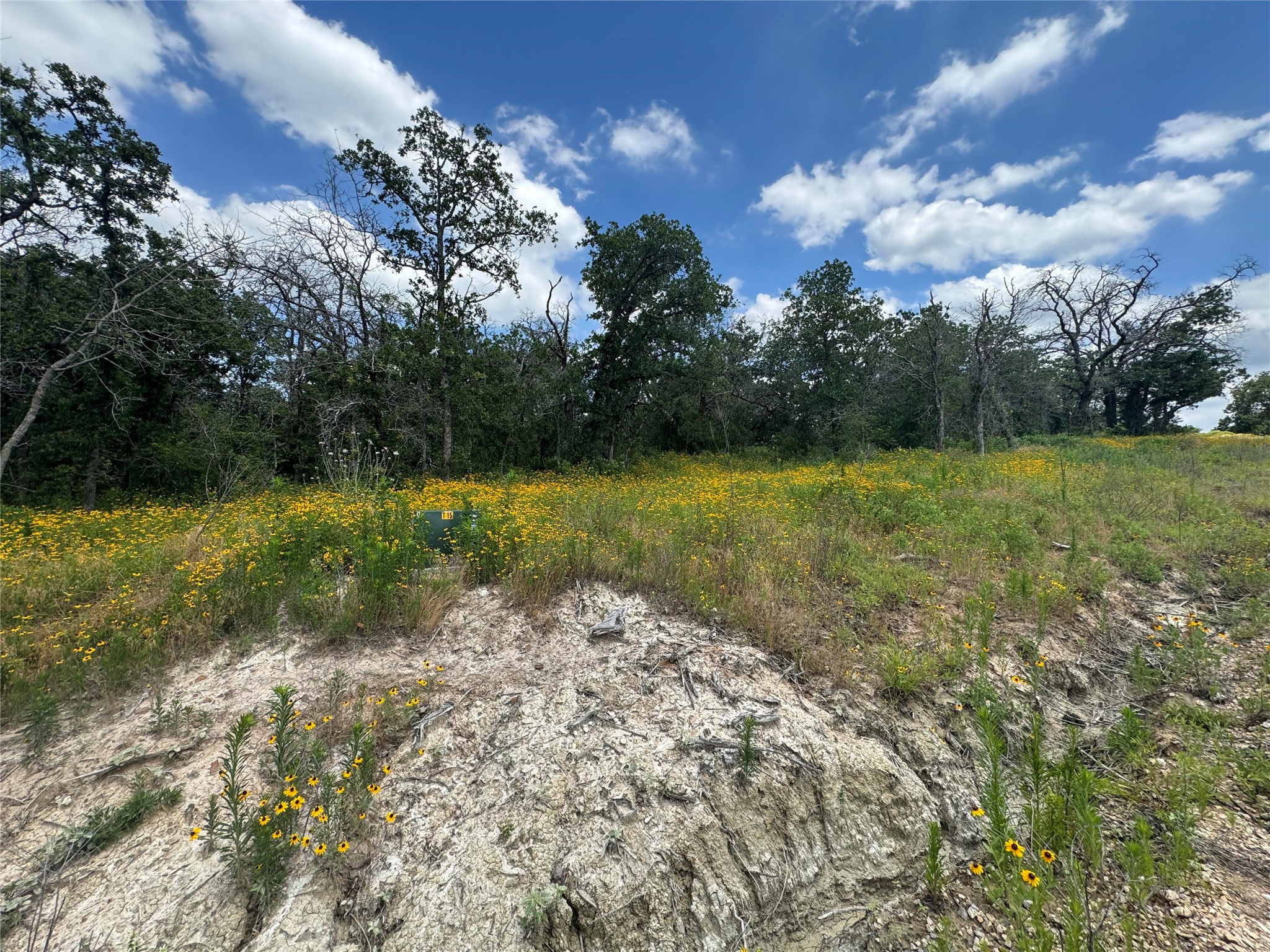 1059 Glenoaks Drive Weatherford TX 76088