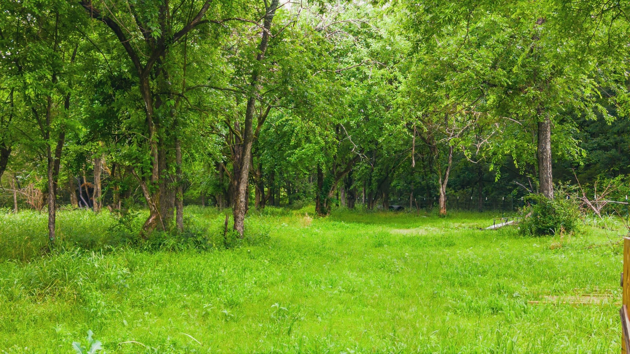 6130 County Road 3207 Lone Oak TX 75453