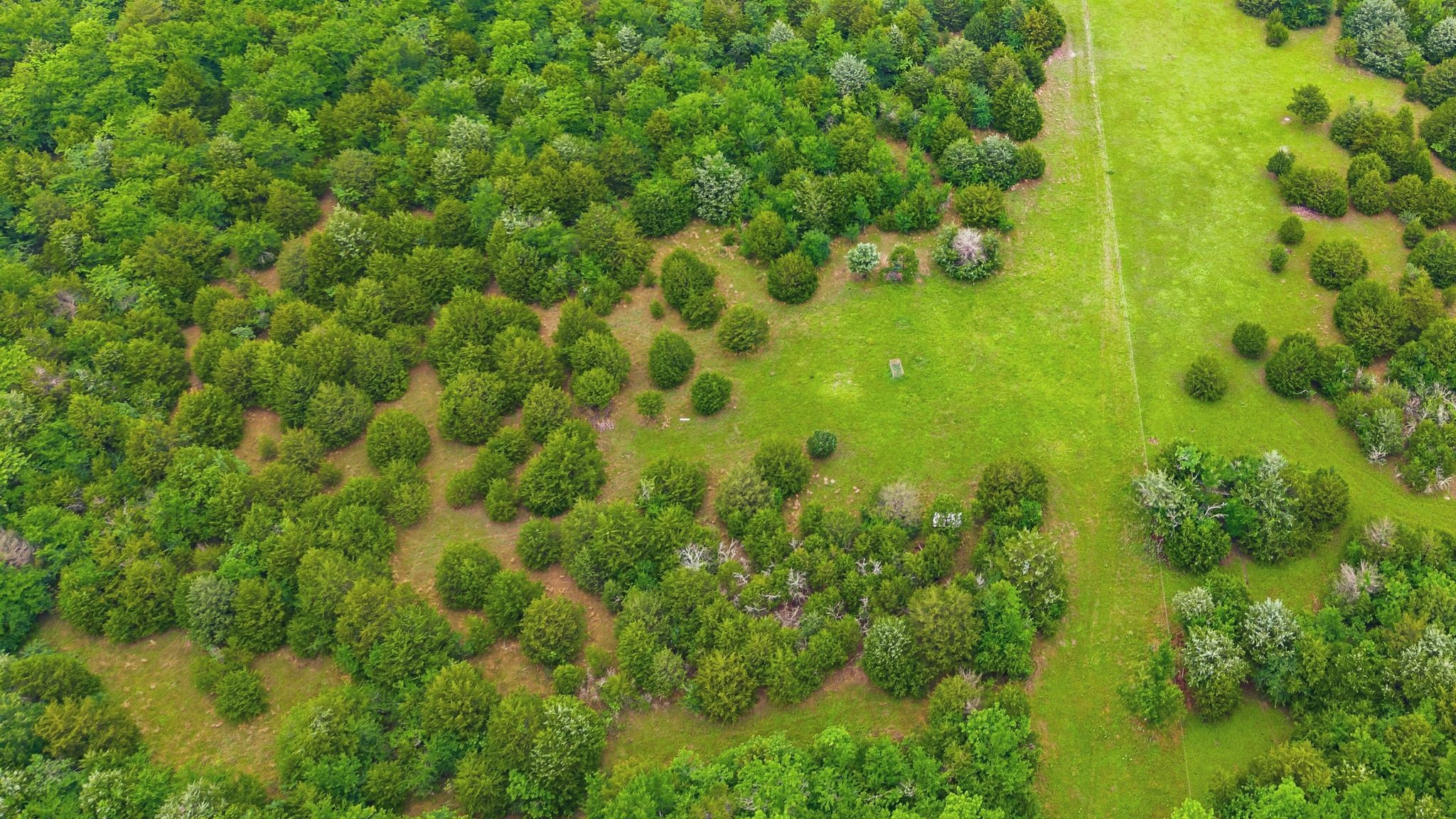 6130 County Road 3207 Lone Oak TX 75453