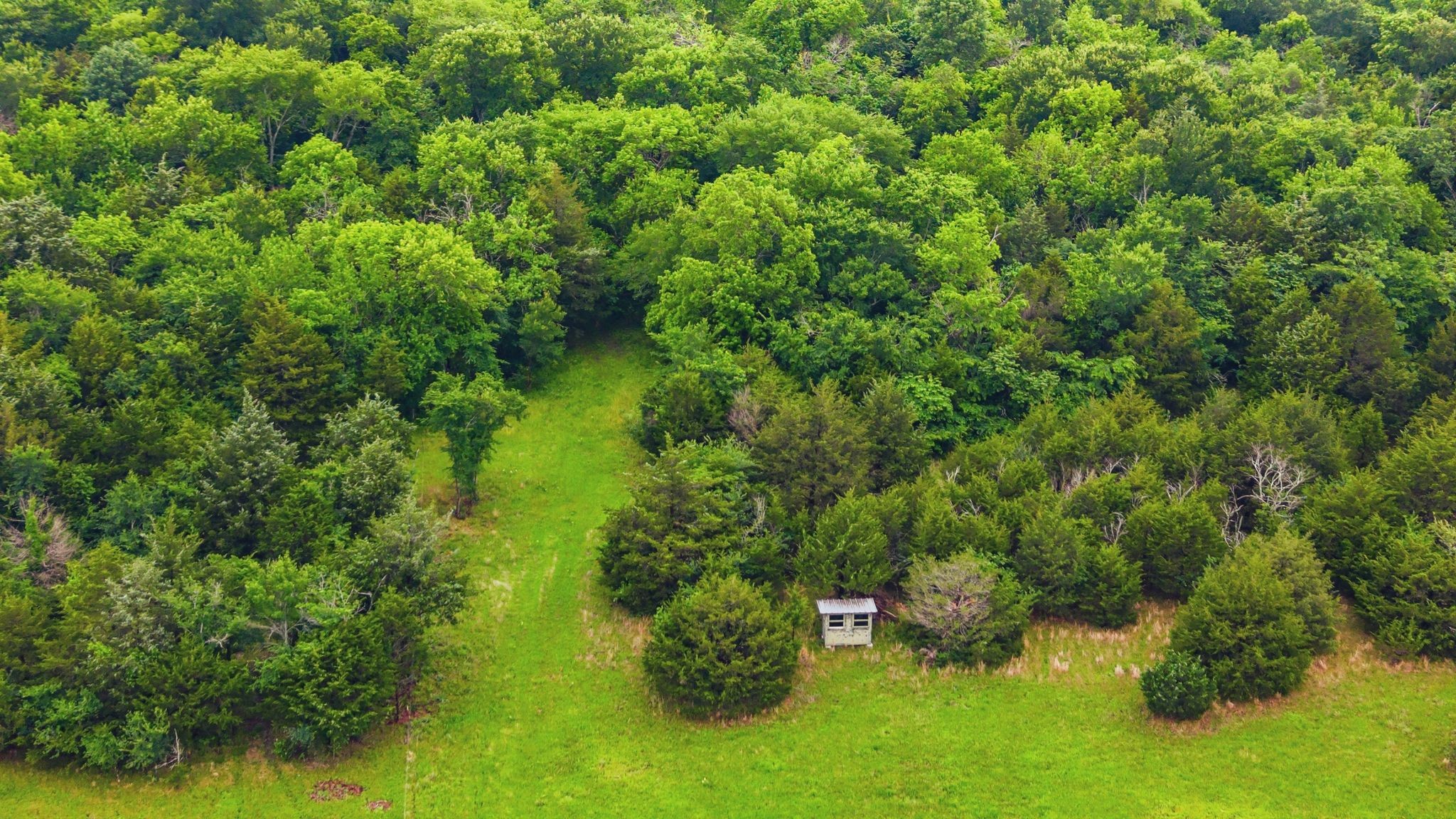 6130 County Road 3207 Lone Oak TX 75453