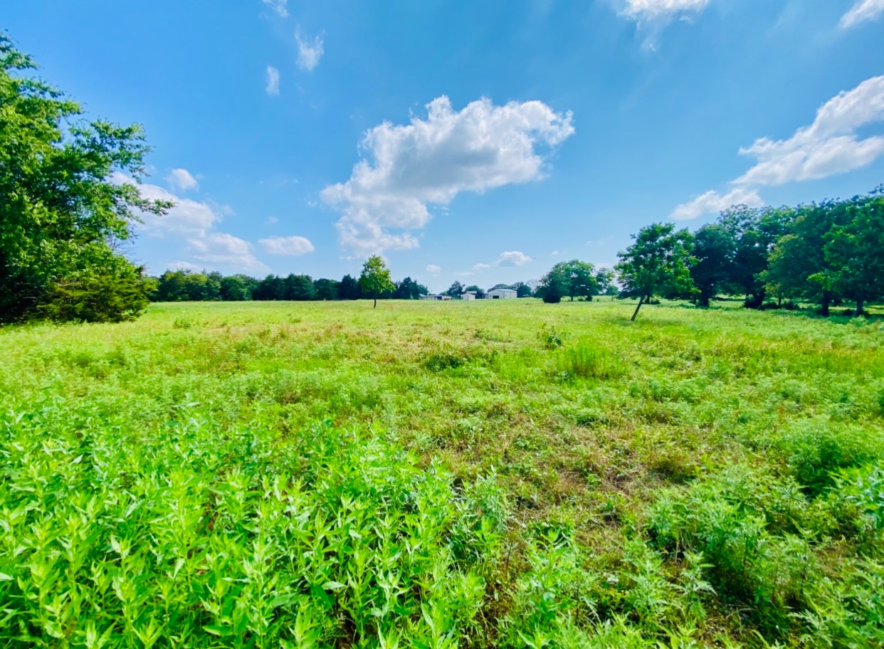 664 Earl Road Sadler TX 76264