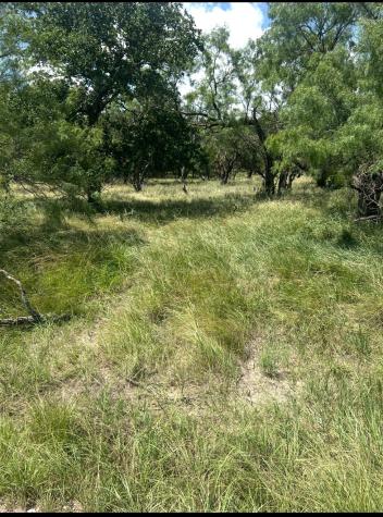 Lot 916 Oak Point Drive May TX 76857