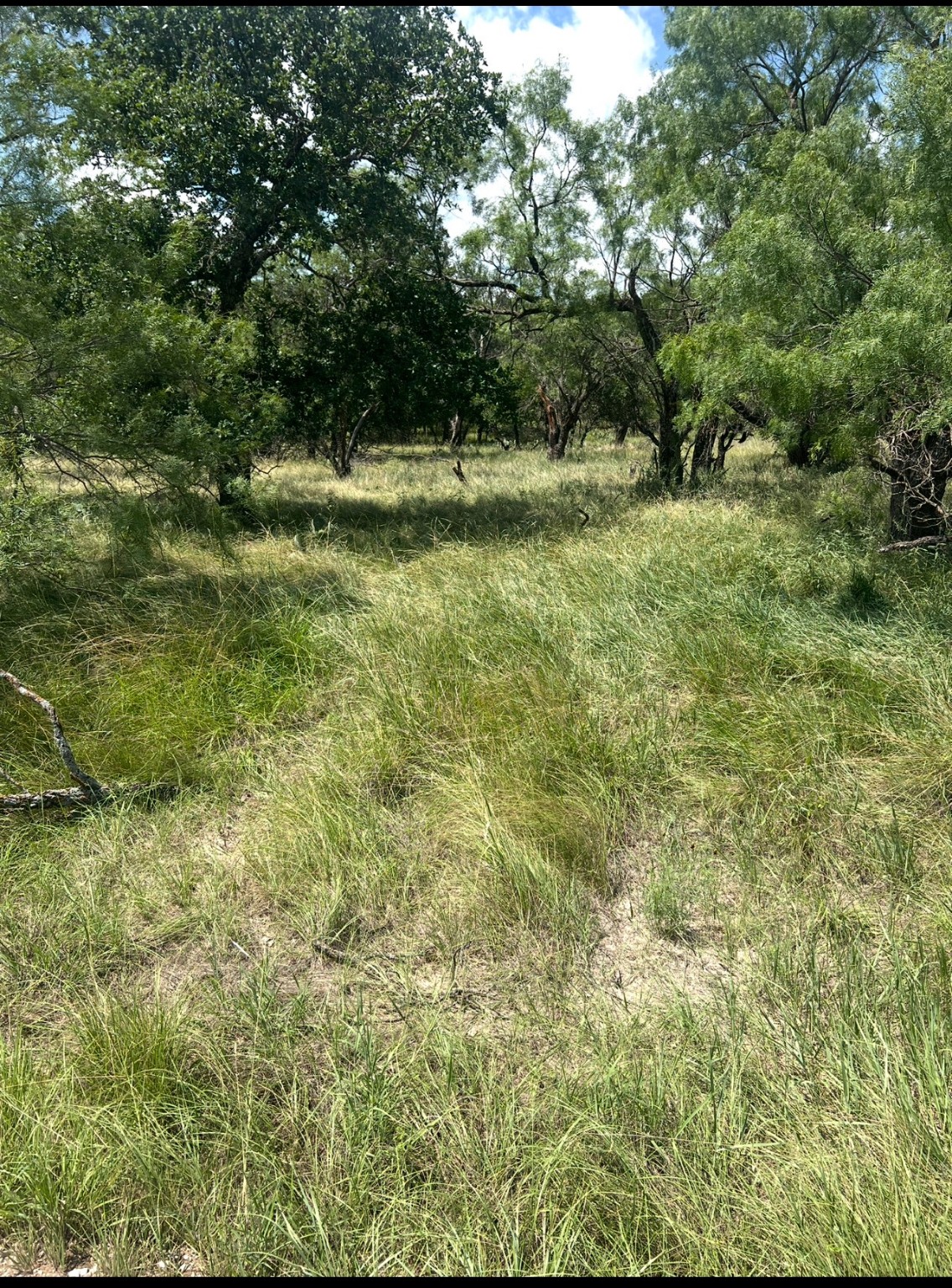 Lot 916 Oak Point Drive May TX 76857