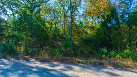 TBD-2 Cottonwood Lane Murchison TX 75778