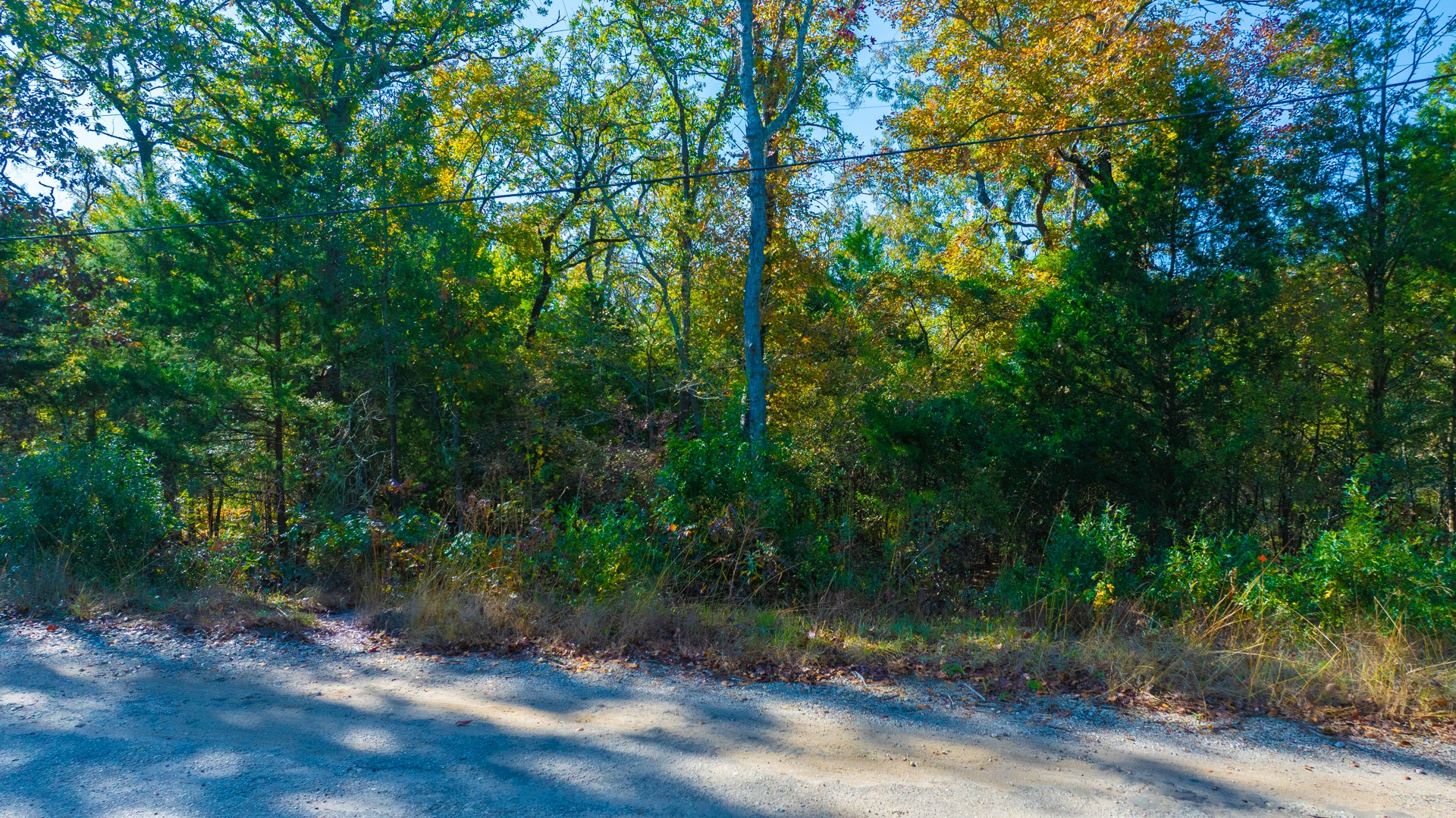 TBD-2 Cottonwood Lane Murchison TX 75778