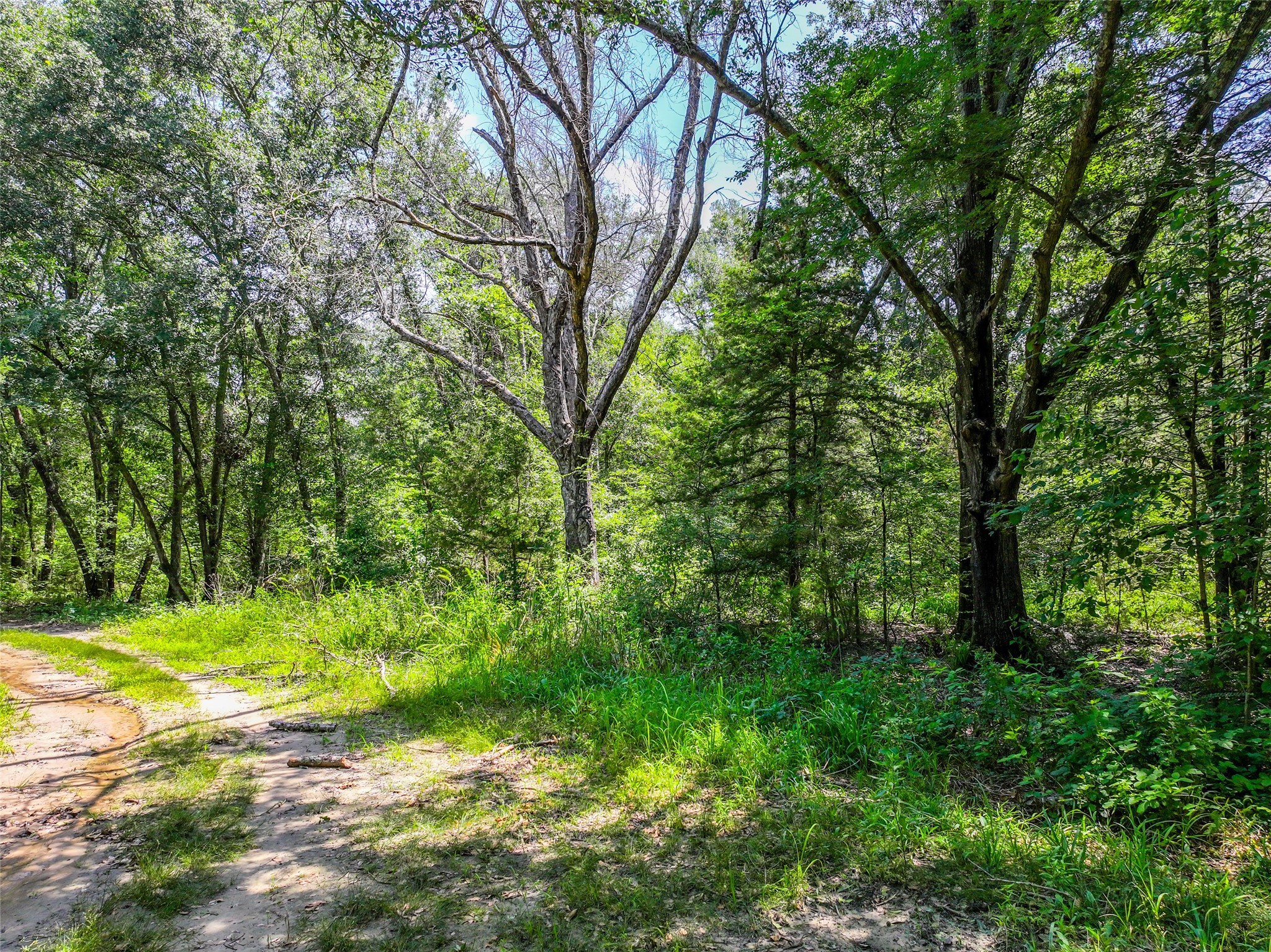 Na County Road 3306 Greenville TX 75402