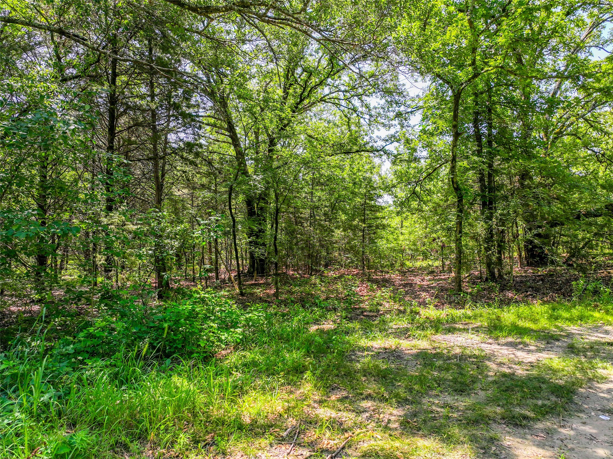 Na County Road 3306 Greenville TX 75402