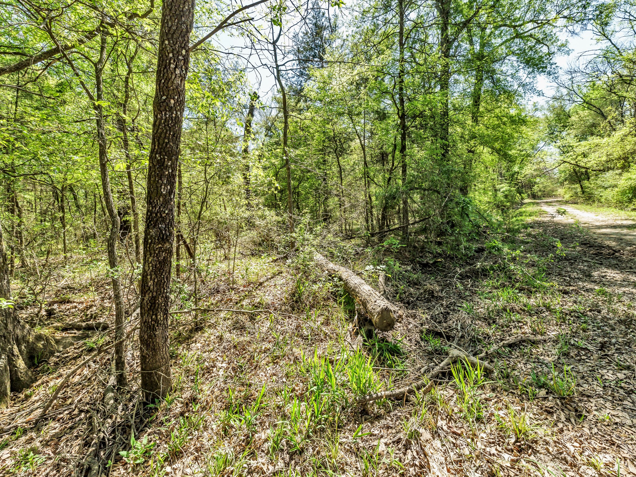 Na County Road 3306 Greenville TX 75402