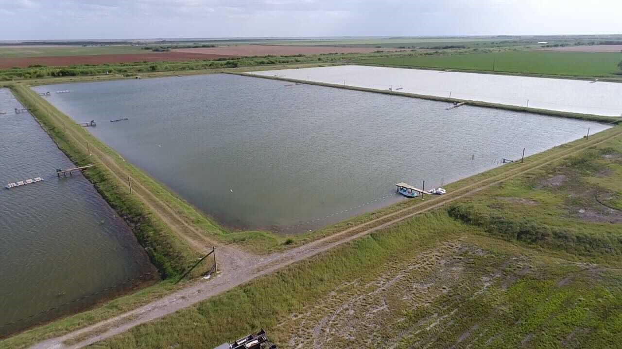 7979 Goyo Garcia Road Raymondville TX 78580