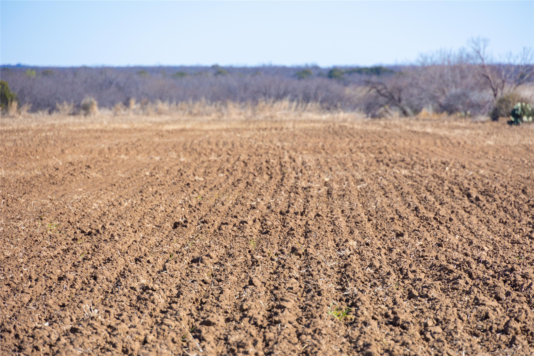 2633 Farm Market Santa Anna TX 76878