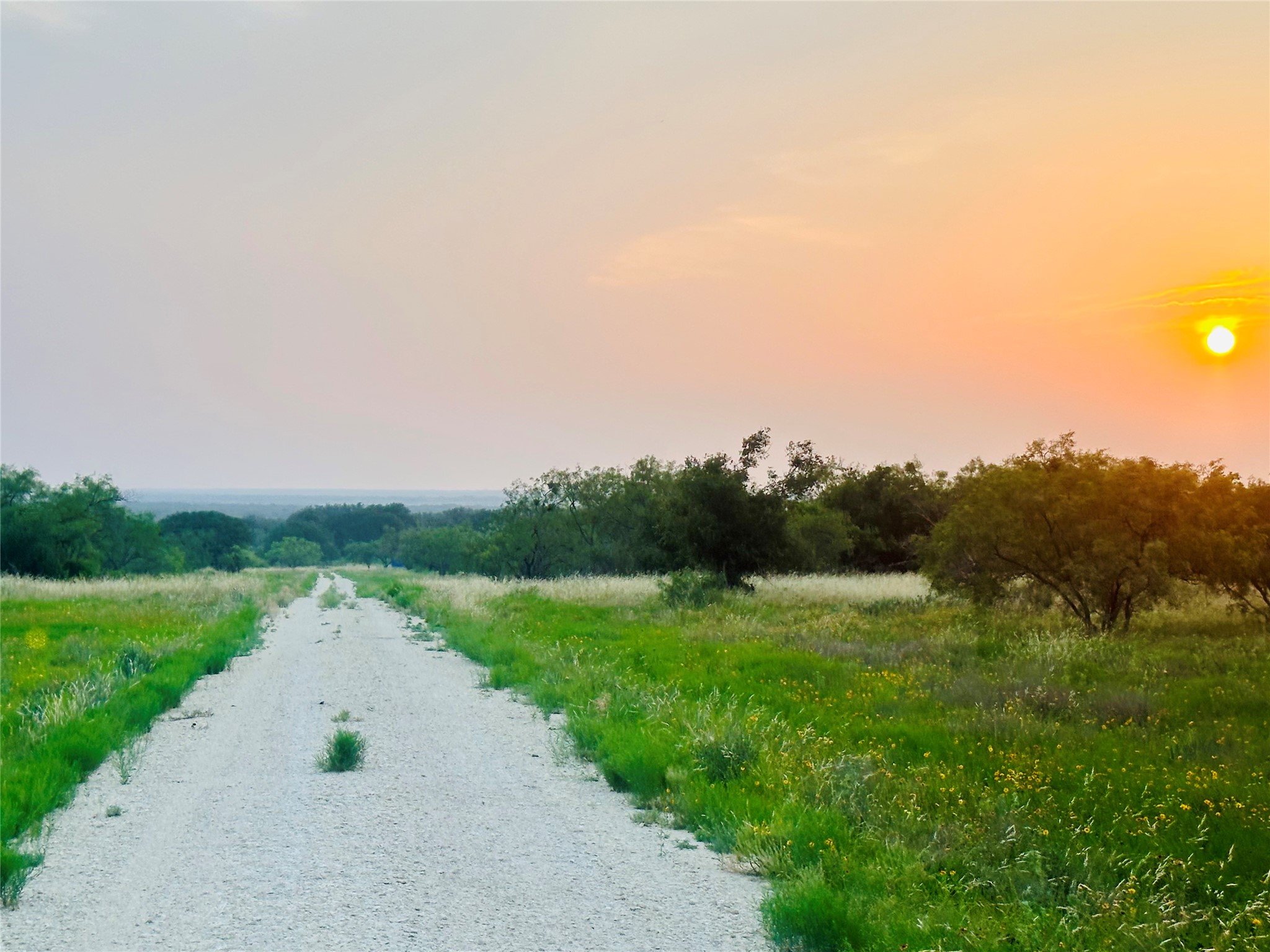 401 Fallow Spur Melvin TX 76858
