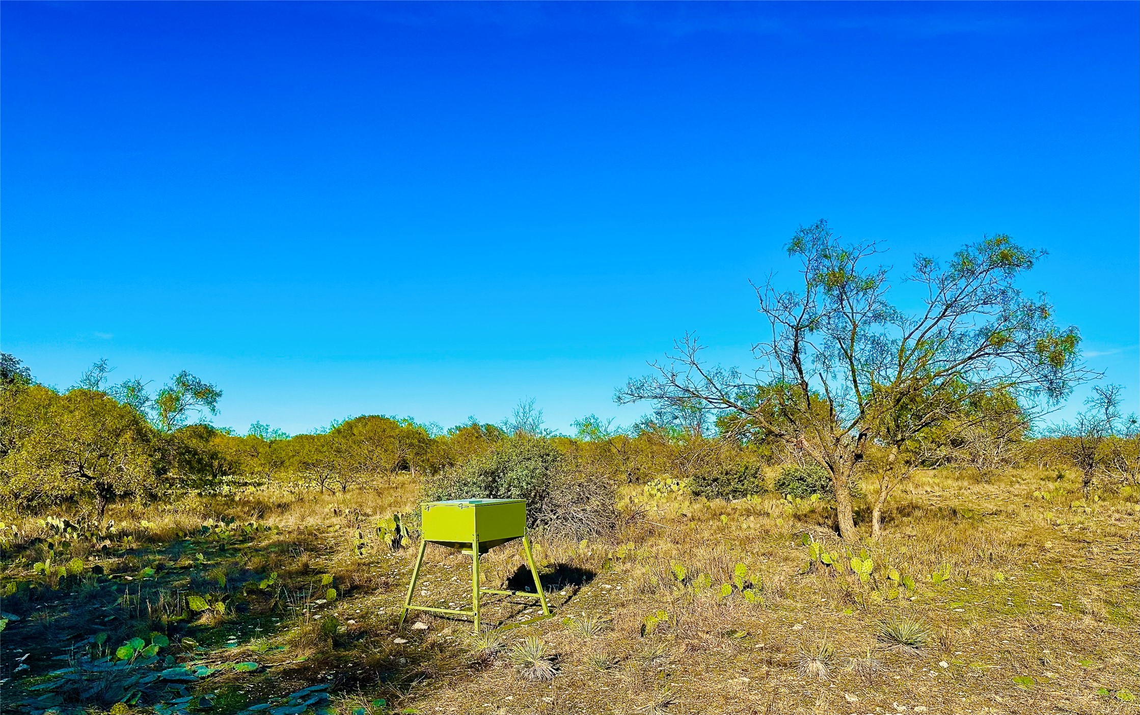 401 Fallow Spur Melvin TX 76858