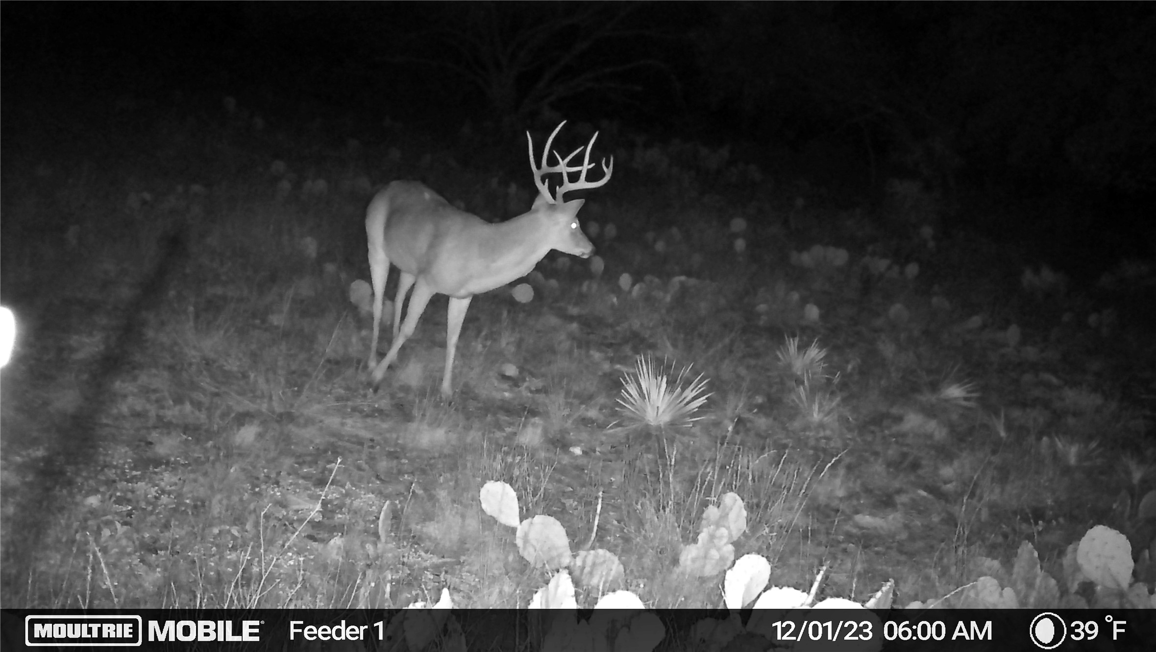401 Fallow Spur Melvin TX 76858