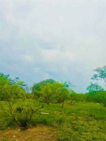 401 Fallow Spur Melvin TX 76858