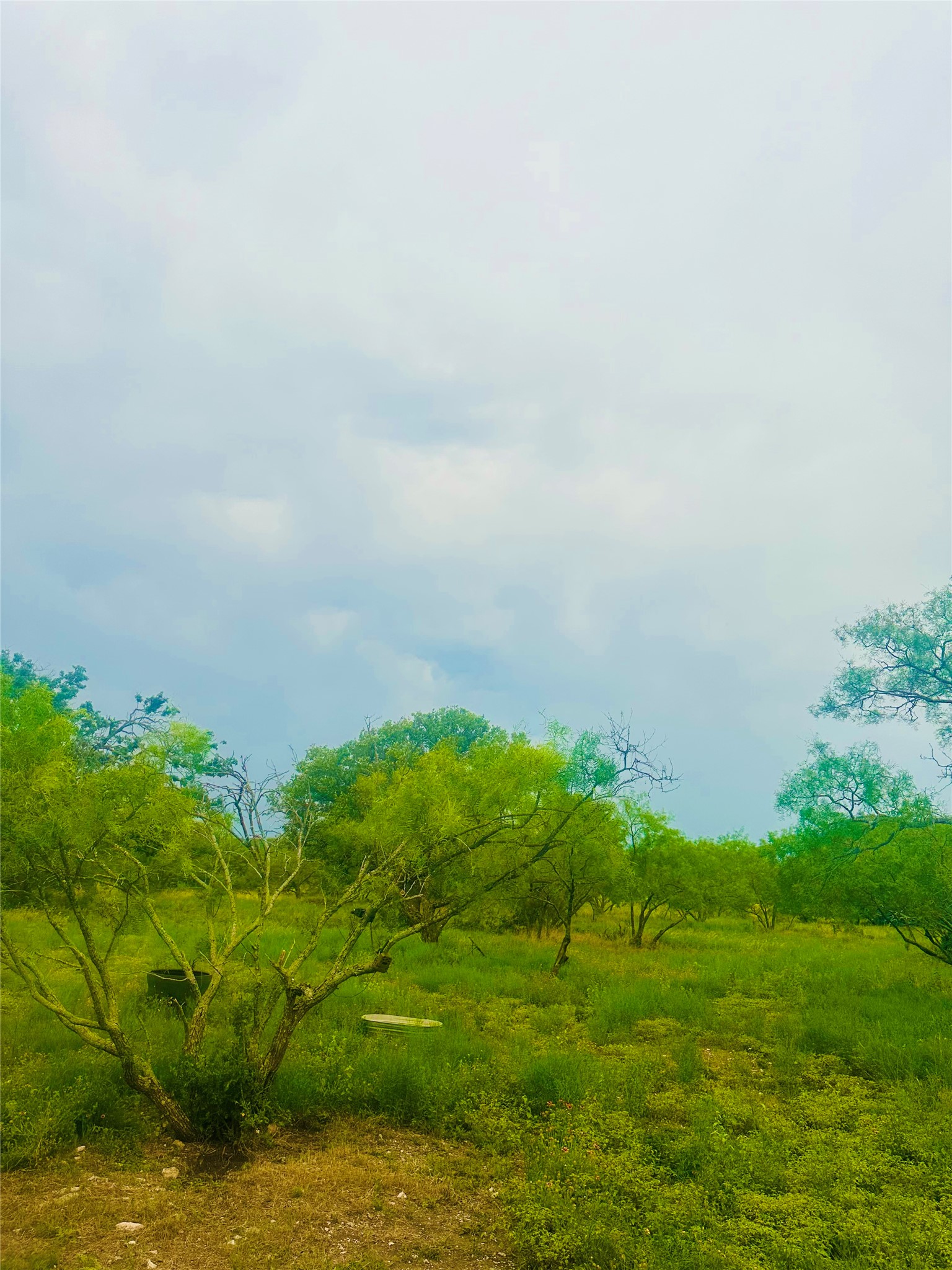 401 Fallow Spur Melvin TX 76858