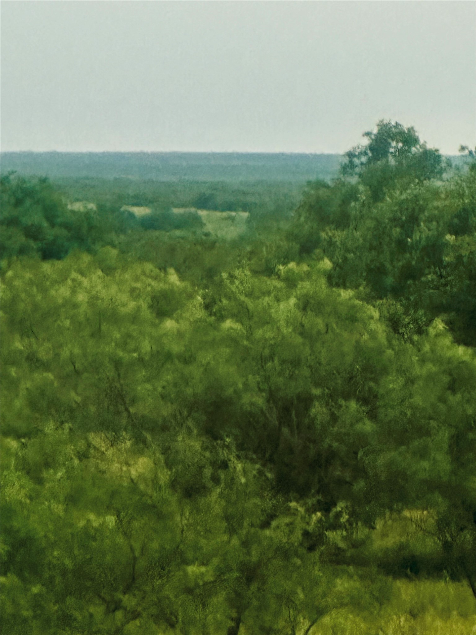 401 Fallow Spur Melvin TX 76858