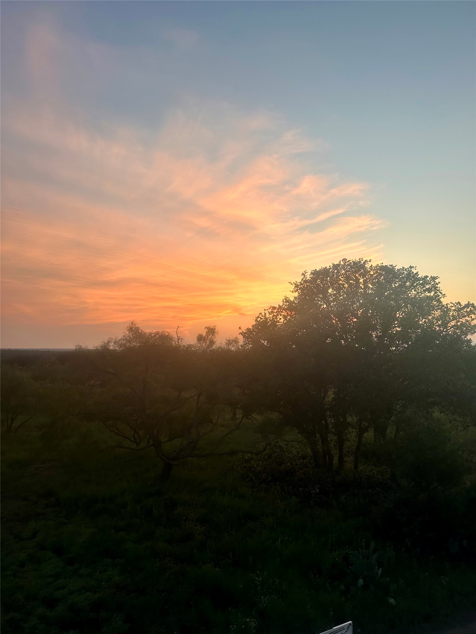 401 Fallow Spur Melvin TX 76858