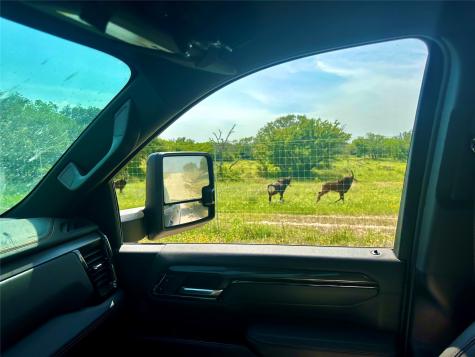 401 Fallow Spur Melvin TX 76858
