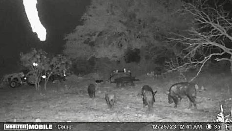 401 Fallow Spur Melvin TX 76858