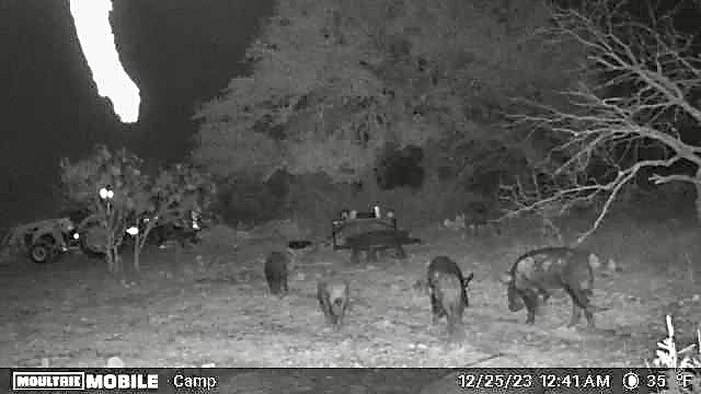 401 Fallow Spur Melvin TX 76858