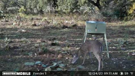 401 Fallow Spur Melvin TX 76858