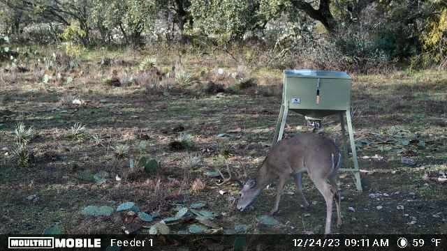 401 Fallow Spur Melvin TX 76858