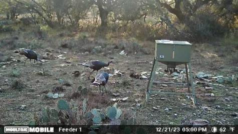 401 Fallow Spur Melvin TX 76858